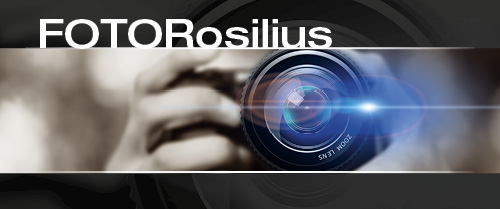 Foto Rosilius